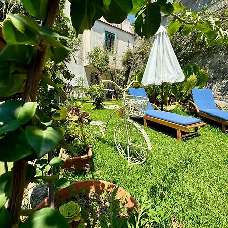Gogas Amalfi Coast Leilighet Cetara Eksteriør bilde